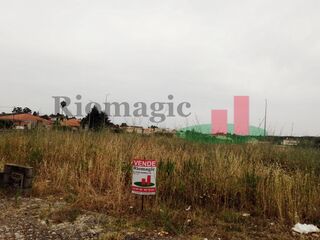 -207765948_ID6c573201-0000-0500-0000-00001005e6b8.jpg