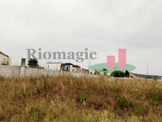-207765948_ID6c573201-0000-0500-0000-00001005e6bc.jpg