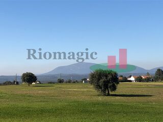 -208006016_IDd8b73701-0000-0500-0000-00000d9ff644.jpg