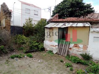 -208969544_IDf8fd4901-0000-0500-0000-00000ebe5c6e.jpg
