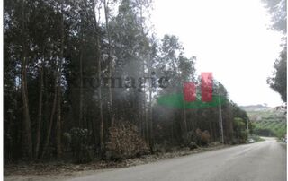 -209145117_IDaad84e01-0000-0500-0000-00000f0866fa.jpg