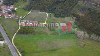 -209163270_ID76924f01-0000-0500-0000-00000f2247c2.jpg