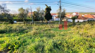 -209209837_IDfdec5001-0000-0500-0000-00000f2b0b44.jpg