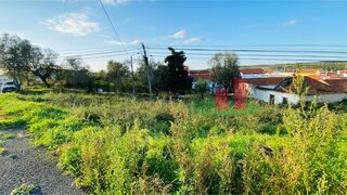 -209209837_IDfdec5001-0000-0500-0000-00000f2b0b47.jpg