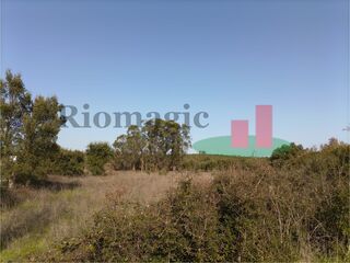 -209331021_ID21875201-0000-0500-0000-00000f51d9c9.jpg
