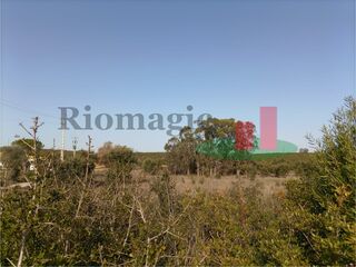 -209331021_ID21875201-0000-0500-0000-00000f51d9d3.jpg