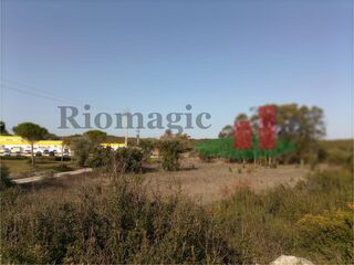 -209331021_ID21875201-0000-0500-0000-00000f51d9d5.jpg