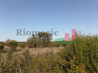 -209331021_ID21875201-0000-0500-0000-00000f51d9d7.jpg