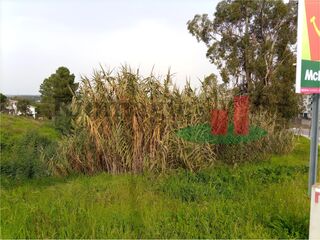 -209367699_IDc93f5401-0000-0500-0000-00000f6e099a.jpg