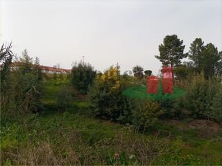 -209367699_IDc93f5401-0000-0500-0000-00000f6e099d.jpg