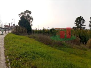 -209367699_IDc93f5401-0000-0500-0000-00000f6e099f.jpg