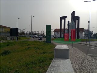 -209367699_IDc93f5401-0000-0500-0000-00000f6e09a3.jpg