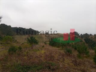 -209451223_IDba2f5601-0000-0500-0000-00000f804964.jpg