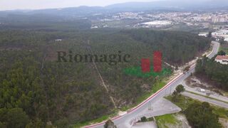 -209682495_ID90215b01-0000-0500-0000-000010cd18a0.jpg