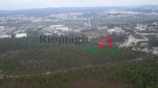 -209682495_ID90215b01-0000-0500-0000-000010cd18a2.jpg
