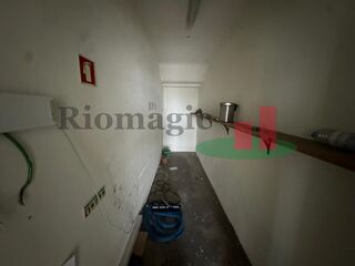 -209755078_IDadd45c01-0000-0500-0000-0000134fe661.jpg