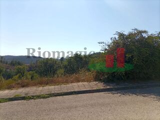 -209765306_ID4cff5c01-0000-0500-0000-000010186e24.jpg