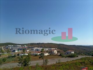 -209765310_ID60ff5c01-0000-0500-0000-000010186dc8.jpg