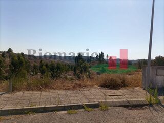 -209765318_ID14ff5c01-0000-0500-0000-000010186ea1.jpg