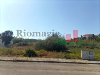 -209765321_IDf4fd5c01-0000-0500-0000-000010186d6d.jpg