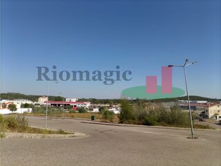 -209765321_IDf4fd5c01-0000-0500-0000-000010186d6e.jpg