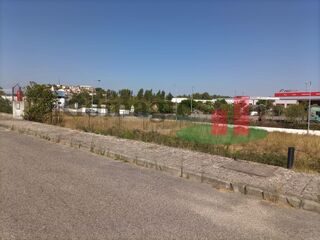 -209765328_ID61fe5c01-0000-0500-0000-000010186ede.jpg
