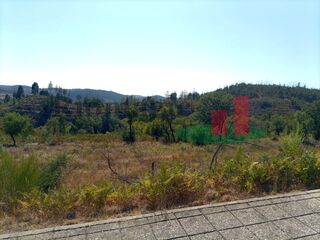 -209765330_ID47ff5c01-0000-0500-0000-000010186dd0.jpg