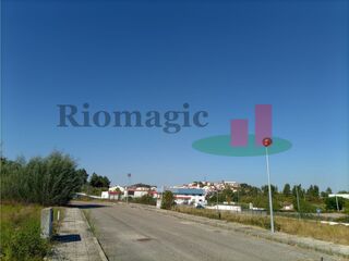 -209765330_ID47ff5c01-0000-0500-0000-000010186dd4.jpg
