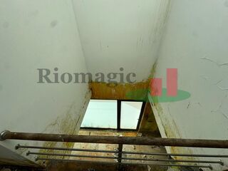 -209778365_ID32495d01-0000-0500-0000-000013232f36.jpg