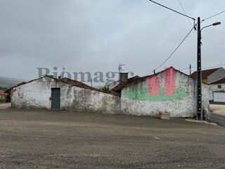 -209865737_ID8c685f01-0000-0500-0000-0000131d9ddd.jpg