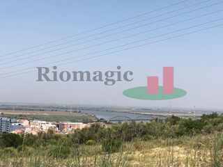 -209938840_ID7f115d01-0000-0500-0000-0000116c124f.jpg