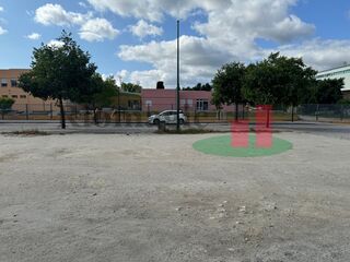 -210127353_ID14f66501-0000-0500-0000-00001328fdcb.jpg
