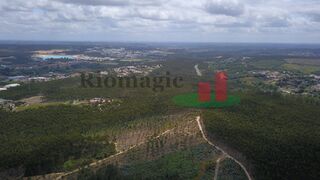 -210150100_ID00456601-0000-0500-0000-00001328f1a5.jpg