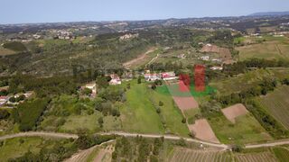 -210172561_IDa5016701-0000-0500-0000-000011227cdb.jpg