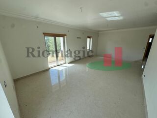 -210335535_IDceb36a01-0000-0500-0000-000013506ac3.jpg