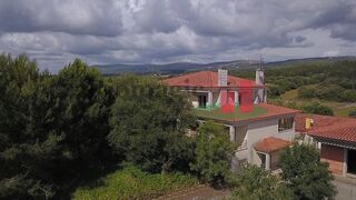 -210335535_IDceb36a01-0000-0500-0000-000013506b0f.jpg