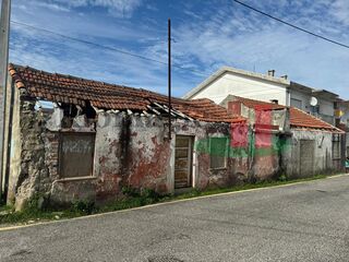 -210388116_ID99936b01-0000-0500-0000-000012999c1b.jpg