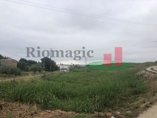 -210390305_ID75ab6b01-0000-0500-0000-00001181f073.jpg