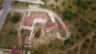 -210626194_ID83416a01-0000-0500-0000-00001172ff74.jpg