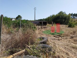 -210626734_IDb1547001-0000-0500-0000-000011ce4fc9.jpg