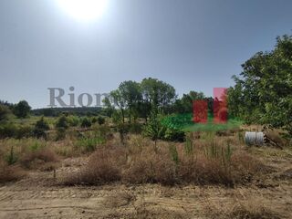 -210626734_IDb1547001-0000-0500-0000-000011ce4fff.jpg