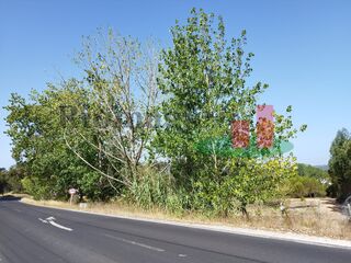 -210626734_IDb1547001-0000-0500-0000-000011ce502c.jpg