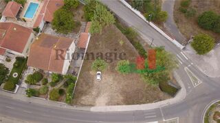 -210776510_IDf4b07301-0000-0500-0000-000013bafb9e.jpg