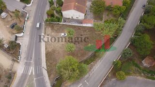 -210776510_IDf4b07301-0000-0500-0000-000013bafba1.jpg