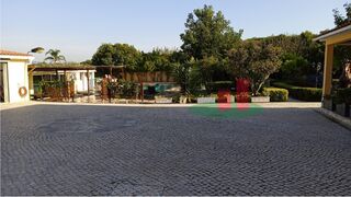-210776671_ID7b957301-0000-0500-0000-000012221873.jpg