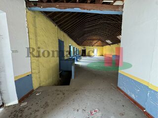 -210789215_ID7df57301-0000-0500-0000-000013231192.jpg
