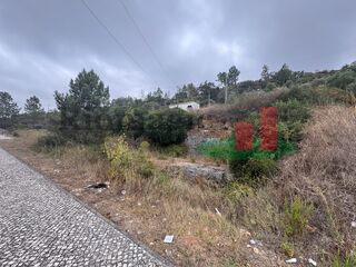 -210807226_IDa75c7401-0000-0500-0000-000013baf92f.jpg