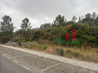 -210807226_IDa75c7401-0000-0500-0000-000013baf930.jpg