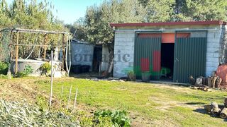 -210849092_ID6c357501-0000-0500-0000-00001246cd1e.jpg