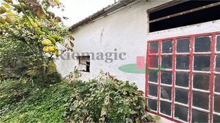 -210863512_ID61397501-0000-0500-0000-00001247344b.jpg